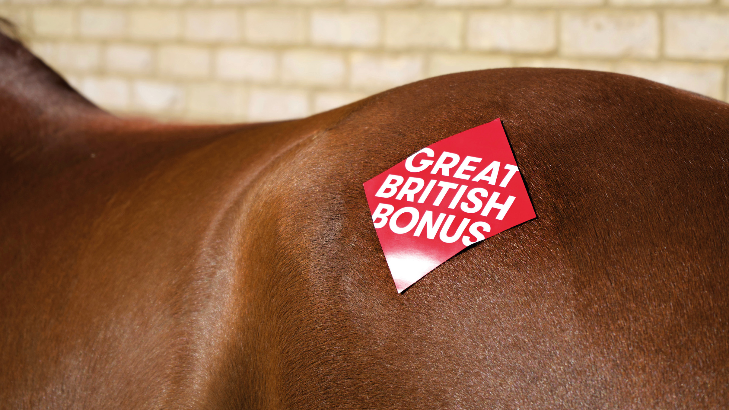 Great British Bonus