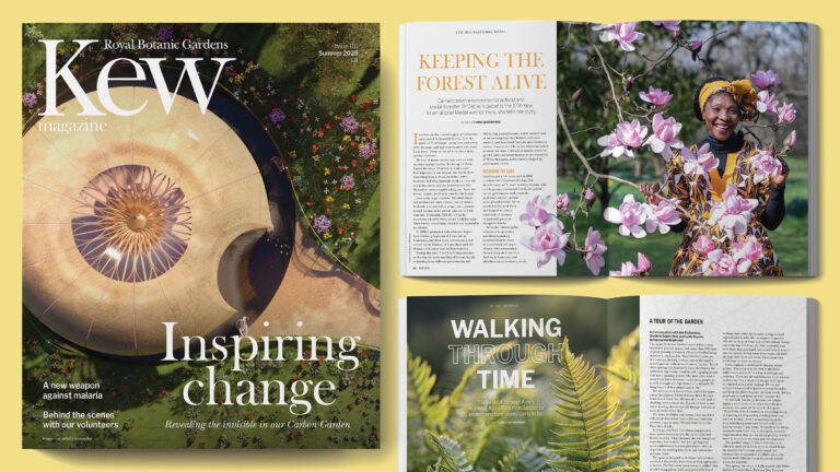 A warm welcome to Kew magazine